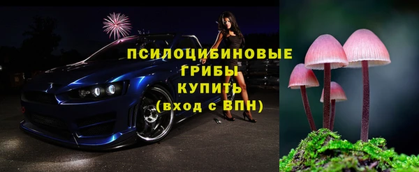 spice Козельск