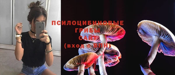 тгк Кодинск