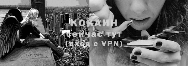 spice Козельск