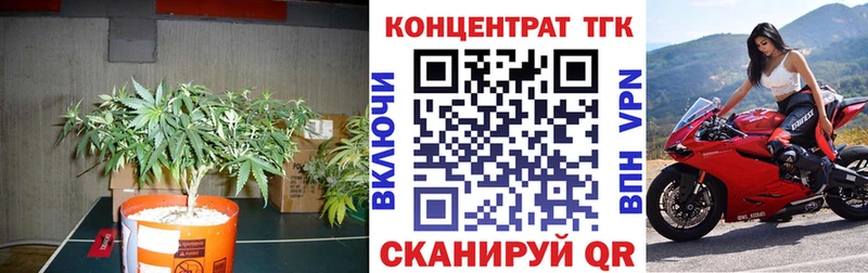 Купить где  Белая Калитва  ТГК Wax 