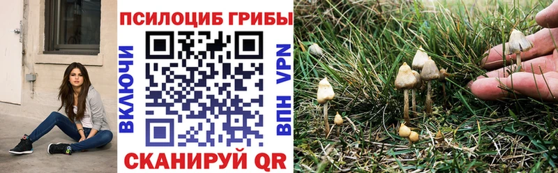 Купить закладки  Белая Калитва  Галлюциногенные грибы Psilocybine cubensis 